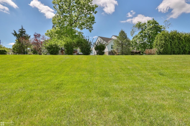 view of green lawn