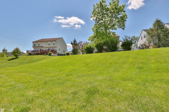 view of green lawn