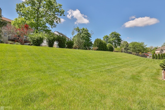view of green lawn