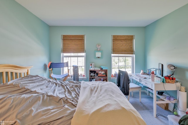 carpeted bedroom featuring multiple windows