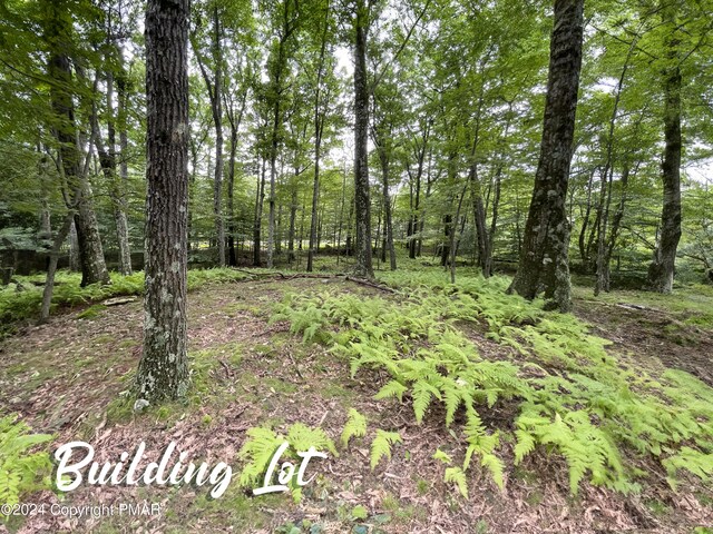 Skyline Dr, Canadensis PA, 18325 land for sale