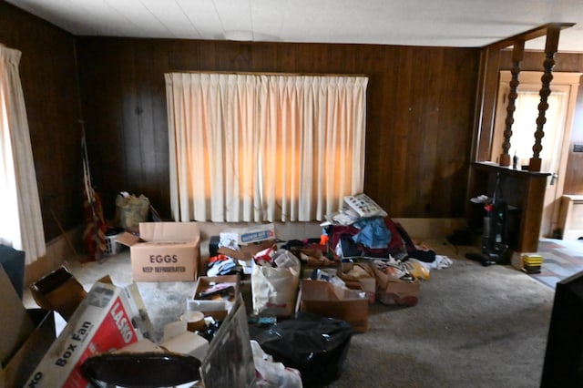 595 N Courtland St, East Stroudsburg, PA 18301 - carpeted living area with wooden walls