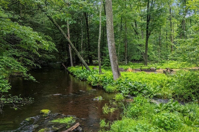 1572 Gardner Rd, Stroudsburg, PA 18360 - view of nature