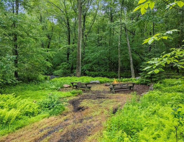 1572 Gardner Rd, Stroudsburg, PA 18360 - view of yard with a view of trees