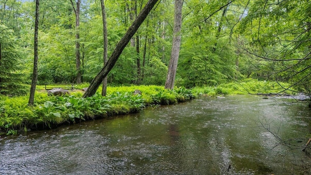 1572 Gardner Rd, Stroudsburg, PA 18360 - water view featuring a forest