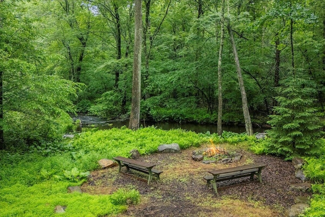 1572 Gardner Rd, Stroudsburg, PA 18360 - view of yard featuring a wooded view