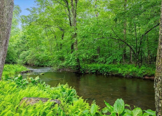 1572 Gardner Rd, Stroudsburg, PA 18360 - water view featuring a forest