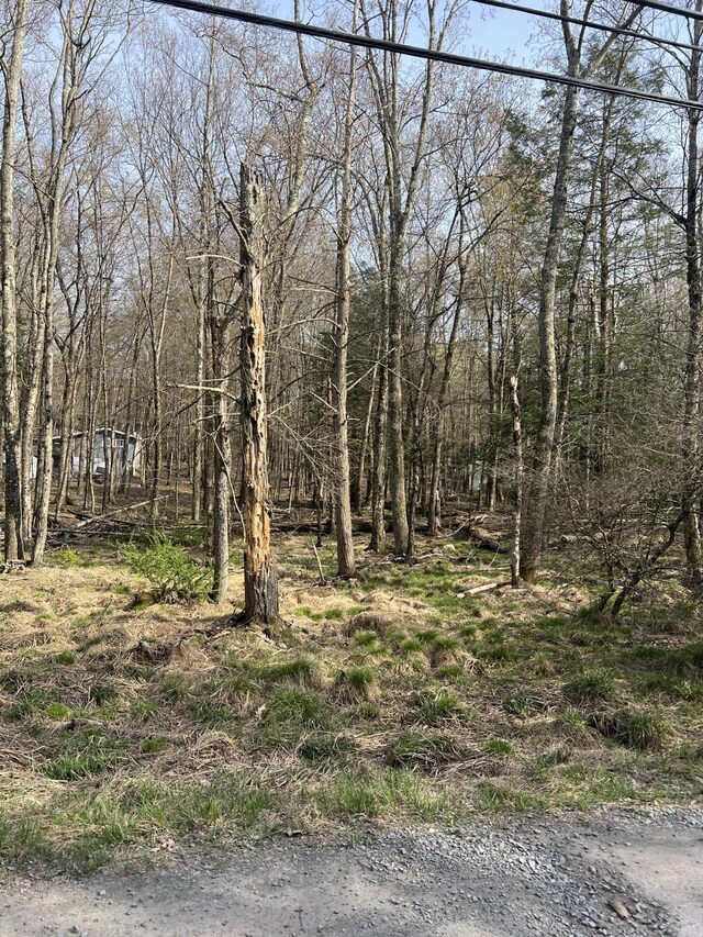 LOT719 Elk Run Rd, Pocono Lake, PA 18347