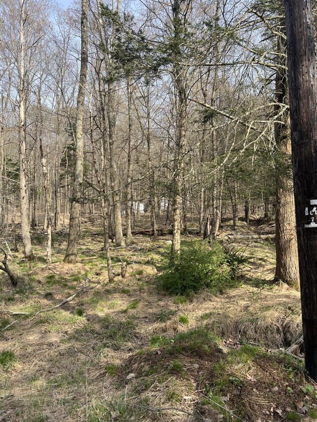 LOT719 Elk Run Rd, Pocono Lake, PA 18347