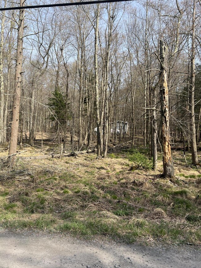 LOT719 Elk Run Rd, Pocono Lake, PA 18347