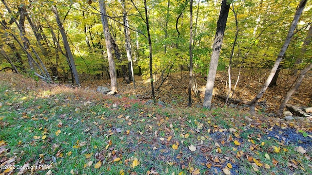 LOT7 Decker Rd, Bushkill PA, 18324 land for sale