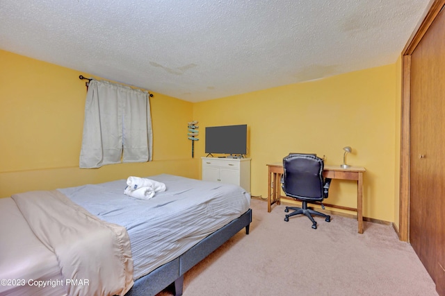 244 High Pass Way, Tannersville, PA 18372 - bedroom featuring light colored carpet, a textured ceiling, and baseboards