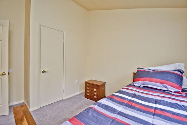 594 Sullivan Trl, Long Pond, PA 18334 - view of carpeted bedroom