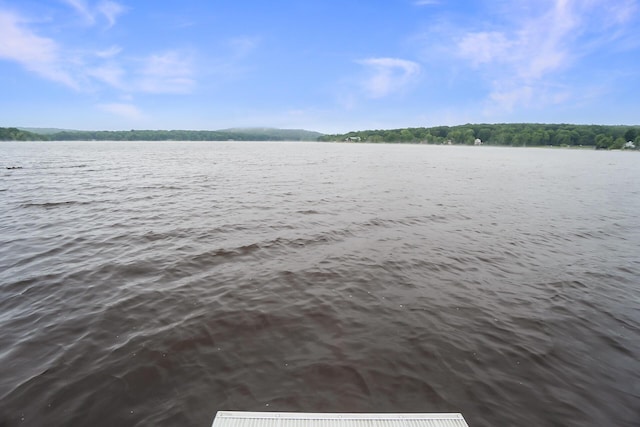 2173 Tuscarora Dr, Pocono Lake, PA 18347 - water view