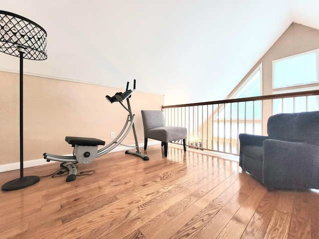 1025 Cricket Ln, Long Pond, PA 18334 - workout room featuring wood finished floors and vaulted ceiling