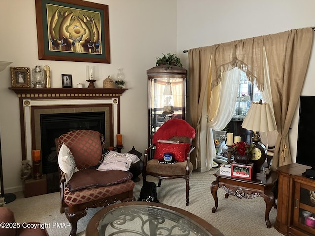 living area featuring a fireplace and carpet flooring