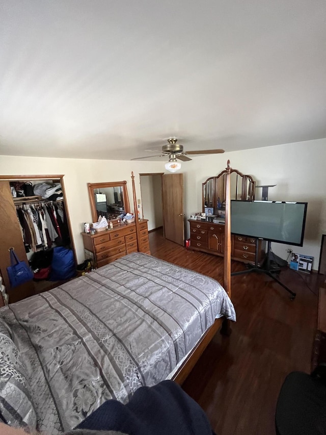 bedroom featuring ceiling fan, wood finished floors, and a closet