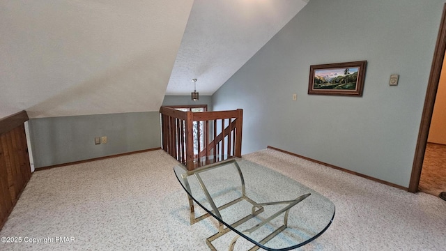 interior space featuring vaulted ceiling and a textured ceiling