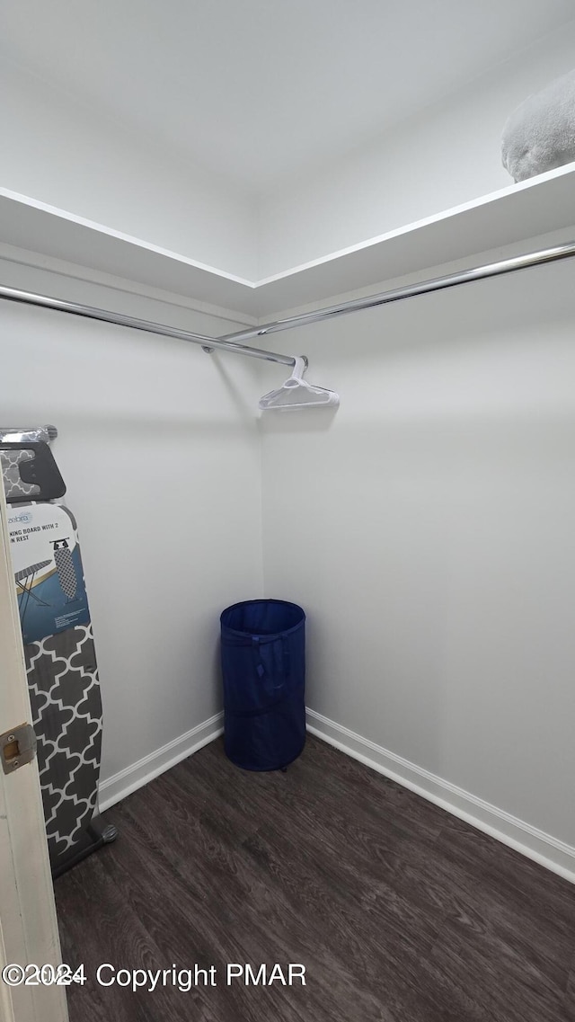 walk in closet featuring wood finished floors