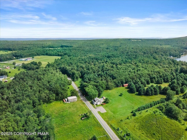 1793 State Route 534, Albrightsville, PA 18210 - photo 28