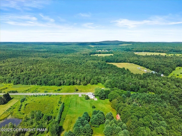 1793 State Route 534, Albrightsville, PA 18210 - photo 26
