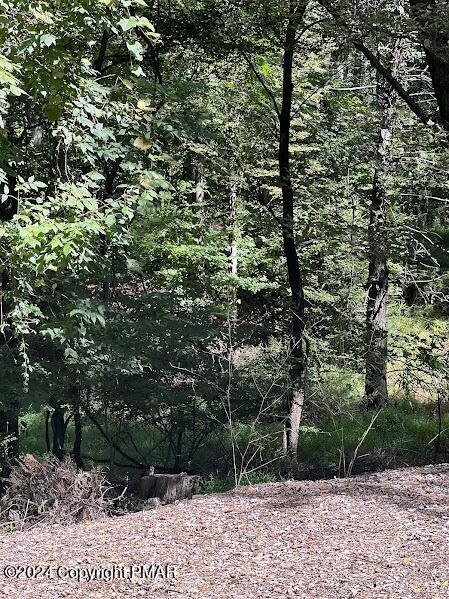 view of nature featuring a view of trees