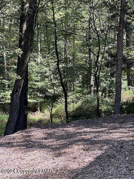 view of nature with a wooded view