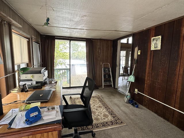 6069 Boardwalk Dr, Tobyhanna, PA 18466 - home office with wood walls and carpet floors