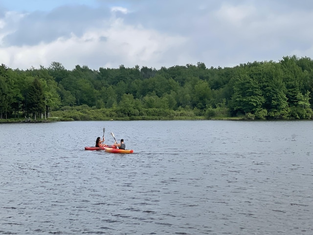 6069 Boardwalk Dr, Tobyhanna, PA 18466 - water view with a forest