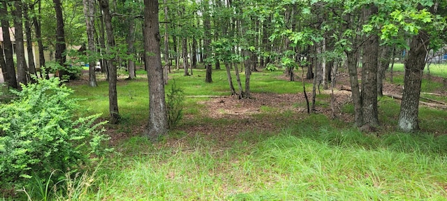 203 Foothill Rd, Albrightsville, PA 18210 - photo 3