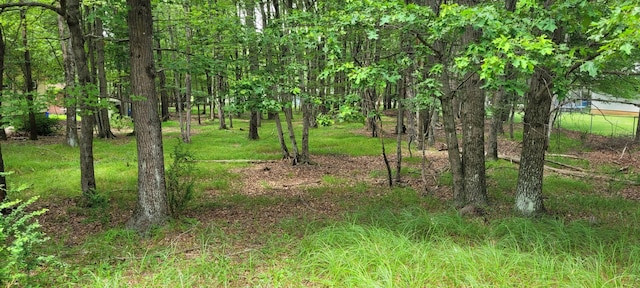 203 Foothill Rd, Albrightsville, PA 18210 - photo 2