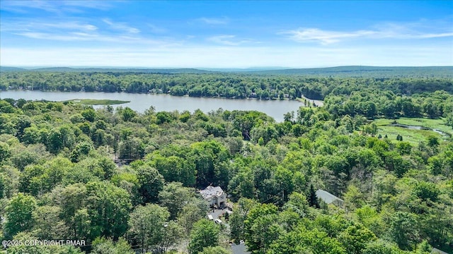2039 Skyview Ter, Tobyhanna, PA 18466 - photo 3