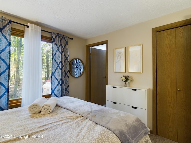 5310 Conoquenissing Dr, Pocono Lake, PA 18347 - bedroom featuring a textured ceiling