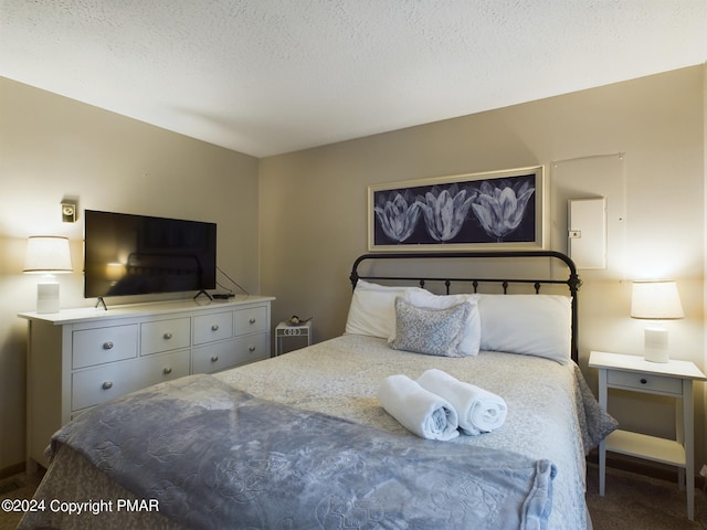5310 Conoquenissing Dr, Pocono Lake, PA 18347 - bedroom with a textured ceiling and dark colored carpet