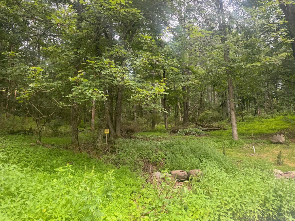 Seneca Way, Stroudsburg, PA 18360 - photo 1