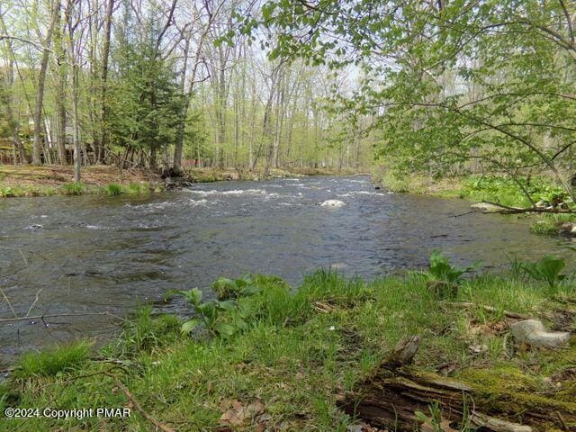 water view featuring a wooded view