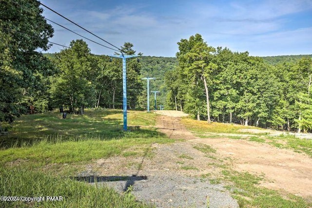 view of yard featuring a forest view