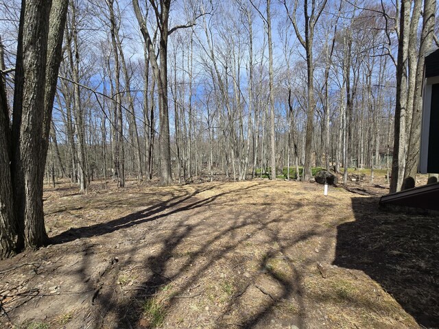 176 Fawn Rd, Pocono Lake, PA 18347 - view of yard