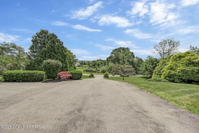 648 Marion Ln, Brodheadsville, PA 18322 - photo 37