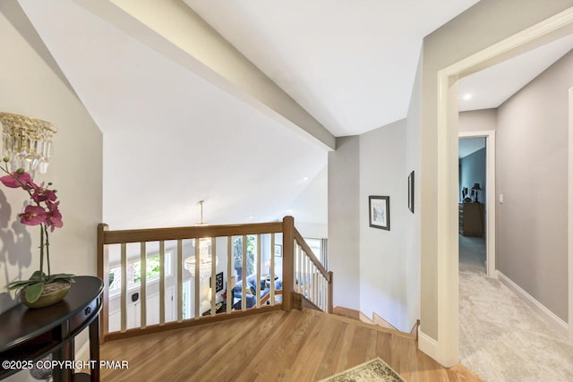648 Marion Ln, Brodheadsville, PA 18322 - photo 74