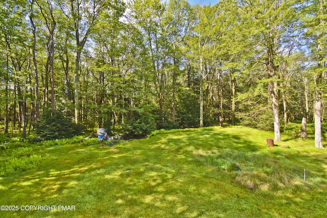 454 Tranquility Trl, Long Pond, PA 18334 - photo 32
