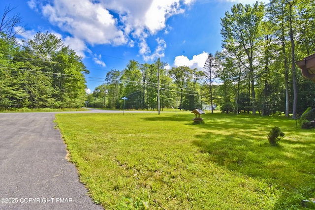 454 Tranquility Trl, Long Pond, PA 18334 - photo 34
