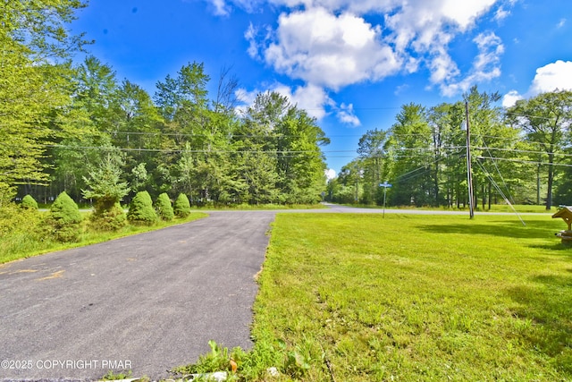 454 Tranquility Trl, Long Pond, PA 18334 - photo 33