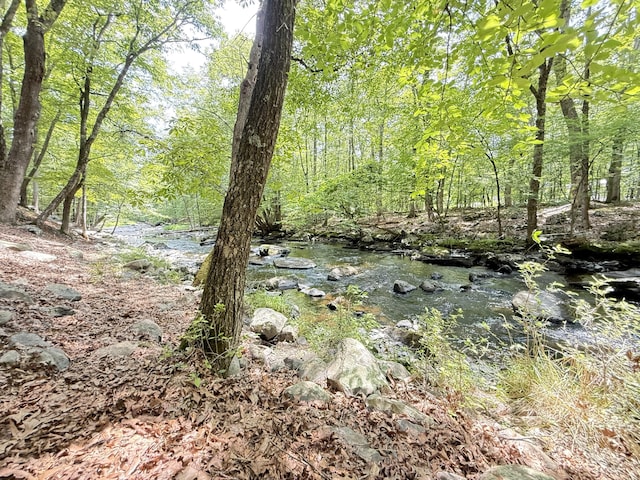 6414 Decker Rd, Bushkill, PA 18324 - view of woods