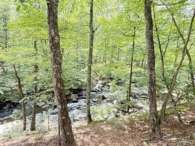 6414 Decker Rd, Bushkill, PA 18324 - view of local wilderness