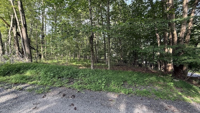 6414 Decker Rd, Bushkill, PA 18324 - view of local wilderness
