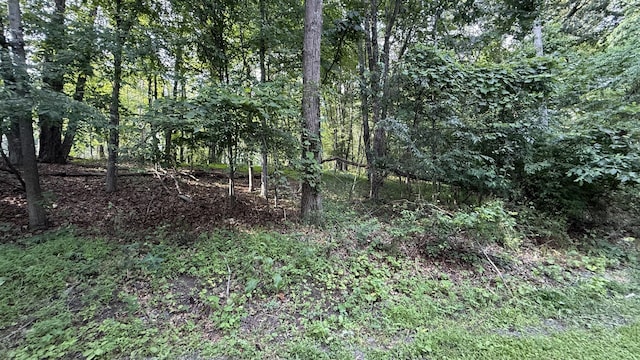 6414 Decker Rd, Bushkill, PA 18324 - view of tree filled area