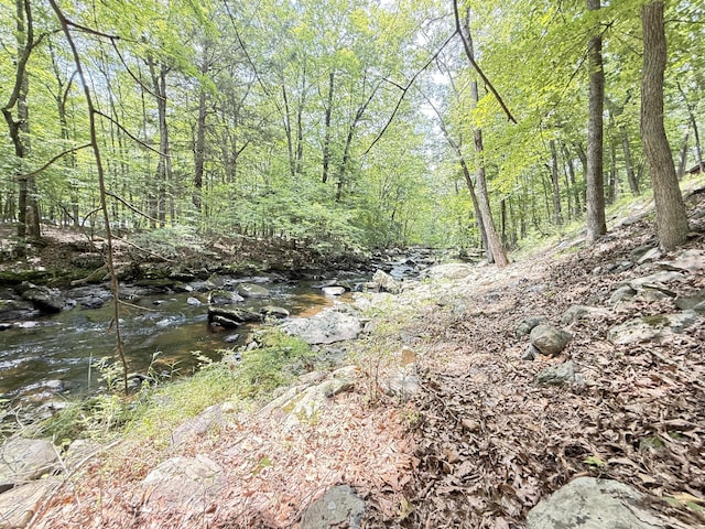 6414 Decker Rd, Bushkill, PA 18324 - view of tree filled area