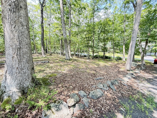 6414 Decker Rd, Bushkill, PA 18324 - view of yard