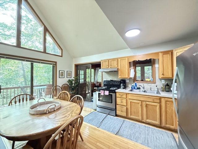 6414 Decker Rd, Bushkill, PA 18324 - kitchen with appliances with stainless steel finishes, under cabinet range hood, high vaulted ceiling, light wood-style flooring, and light countertops